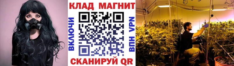 Какие есть наркотики Карачев Героин  МАРИХУАНА  СОЛЬ  Меф  COCAIN  ГАШИШ 