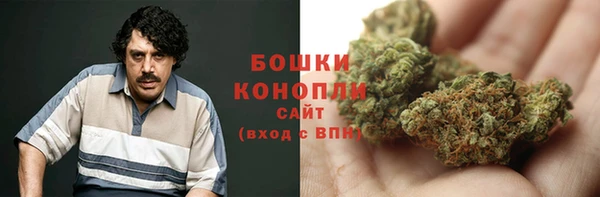 ГАЛЛЮЦИНОГЕННЫЕ ГРИБЫ Алексин