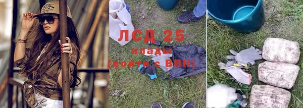 ГАЛЛЮЦИНОГЕННЫЕ ГРИБЫ Алексин