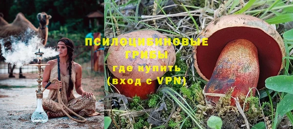 Альфа ПВП Алзамай